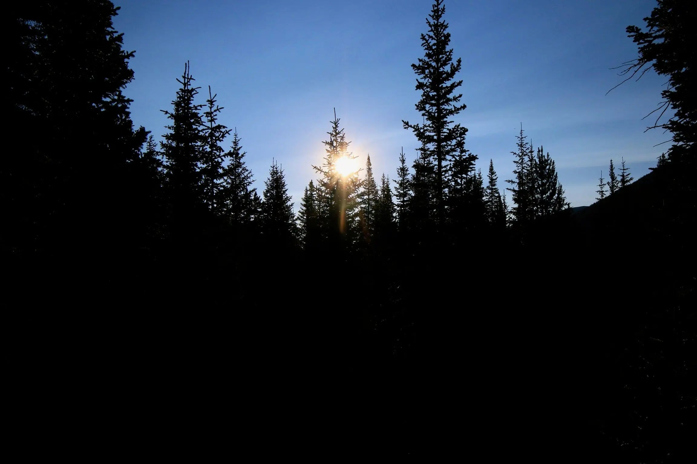 New-Gear The Outside Society