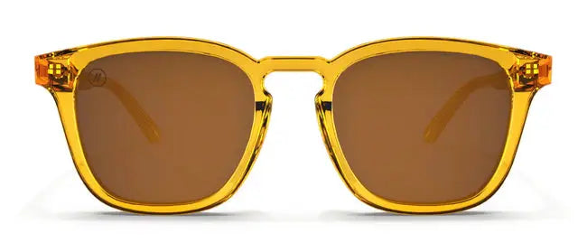 Blenders Sydney Amber Coast Blenders