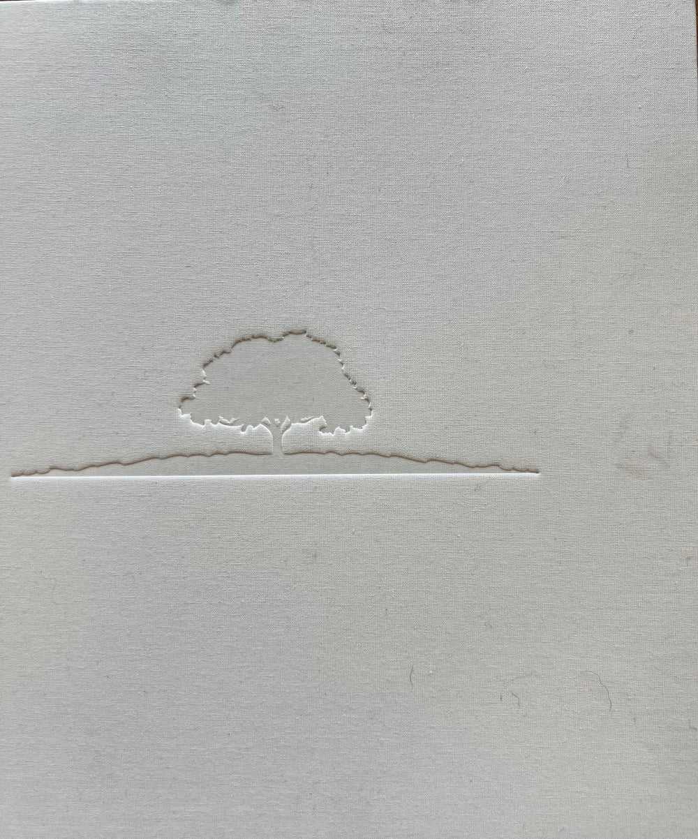 Challenge Aspen "See Silence" Challenge Aspen