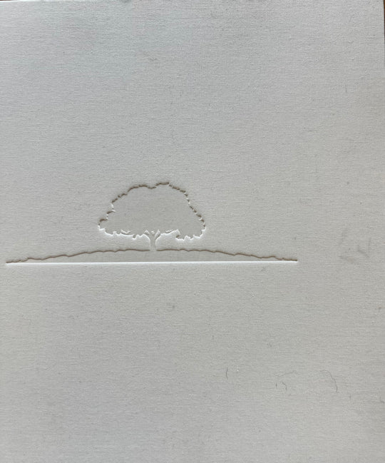 Challenge Aspen "See Silence" Challenge Aspen