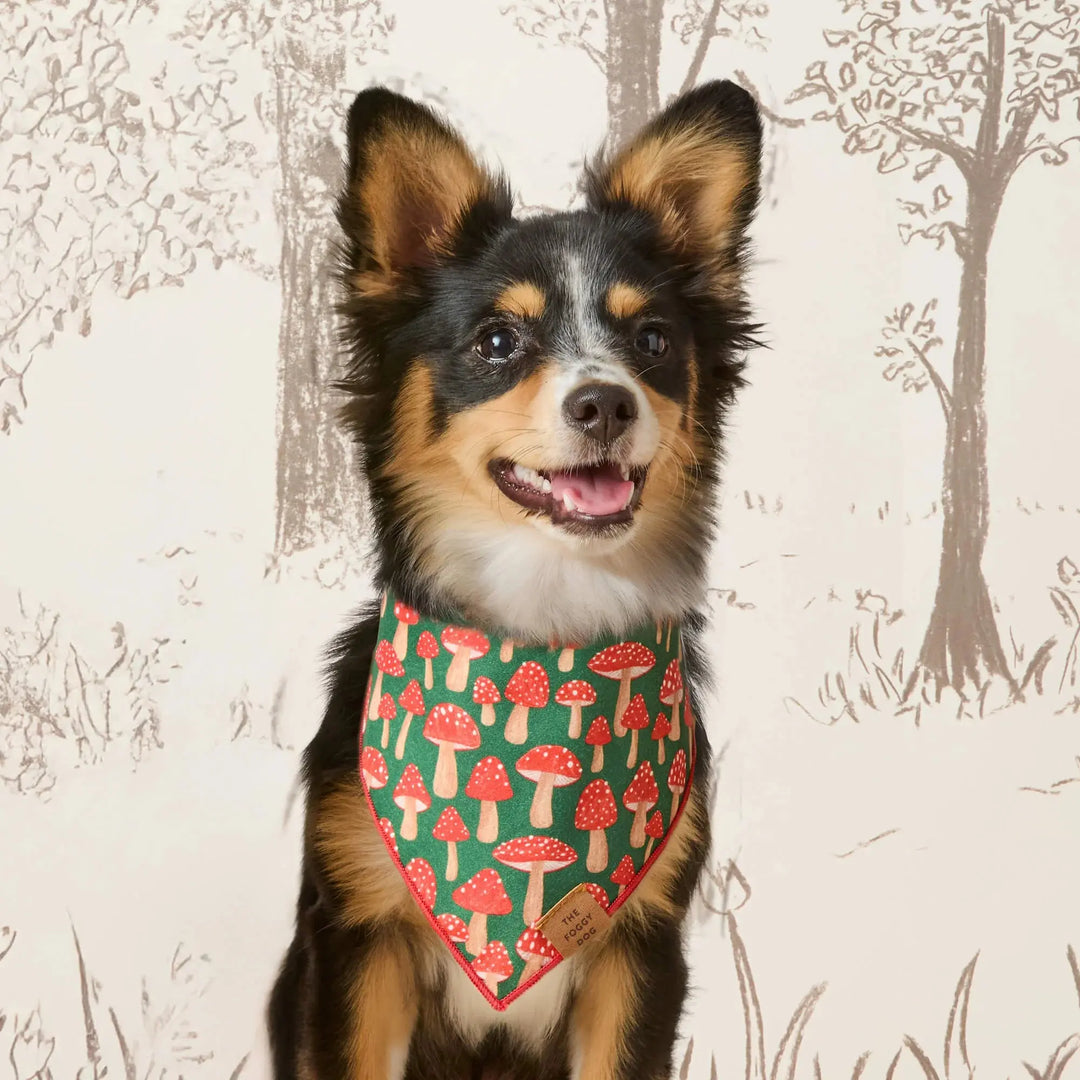 Mushroom Meadow Dog Bandana The Foggy Dog