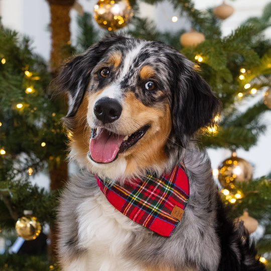 The Foggy Dog Tartan Plaid Flannel Holiday Dog Bandana The Foggy Dog