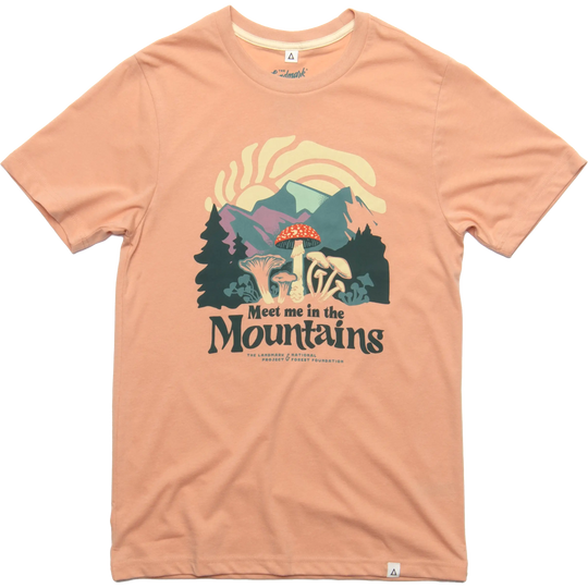 The Landmark Project Meet Me in the Mountains Tee The Landmark Project