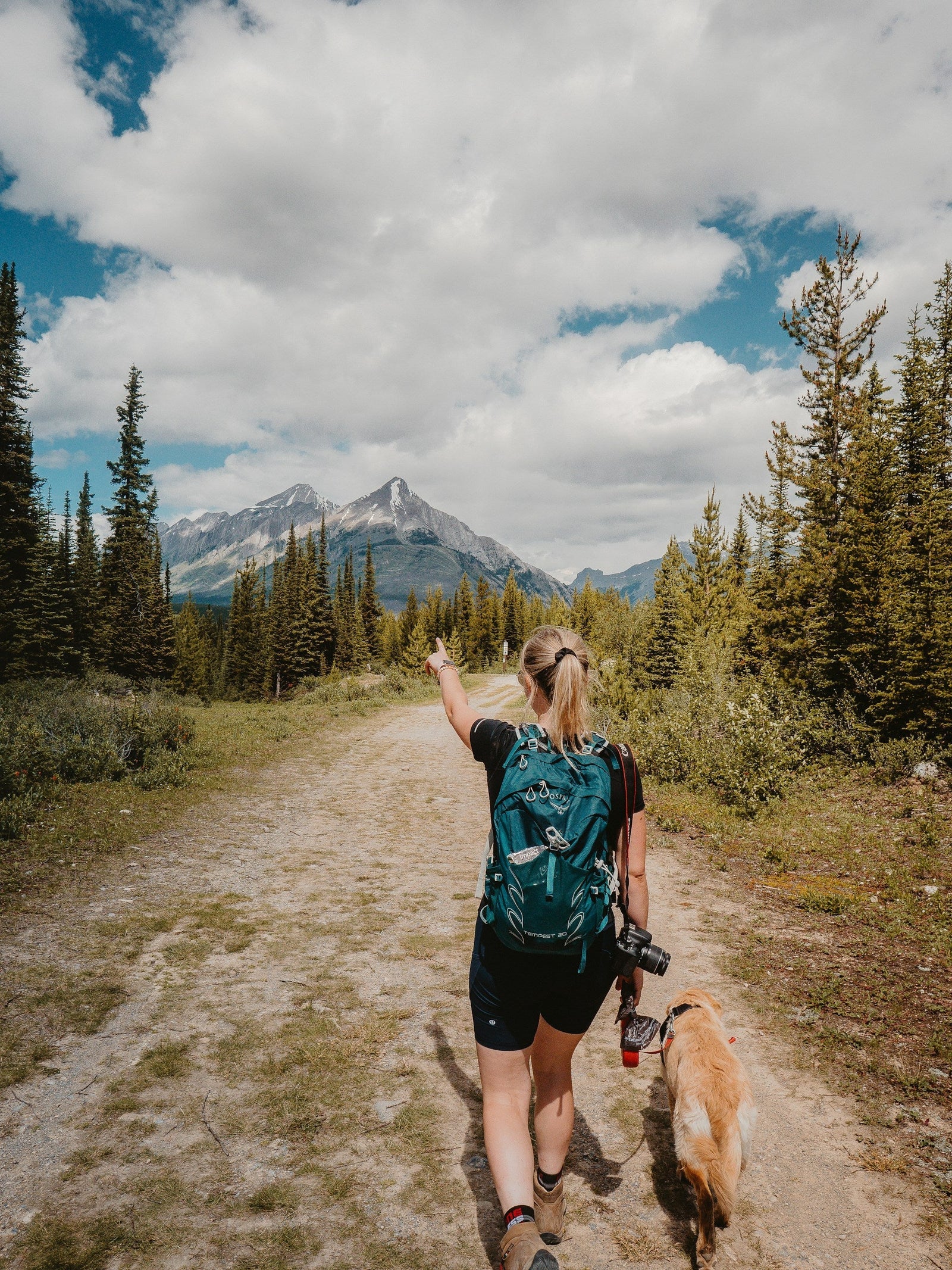 Best Places to Hike with Your Dog in the Roaring Fork Valley