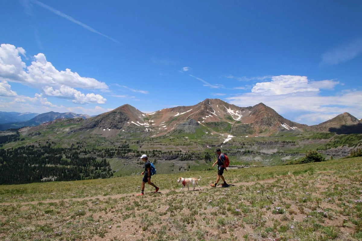 A photo of two people walking with their dog on a trail in the mountains. The trail is dirt and the mountains are rocky and green. The sky is blue and there are clouds in the distance.