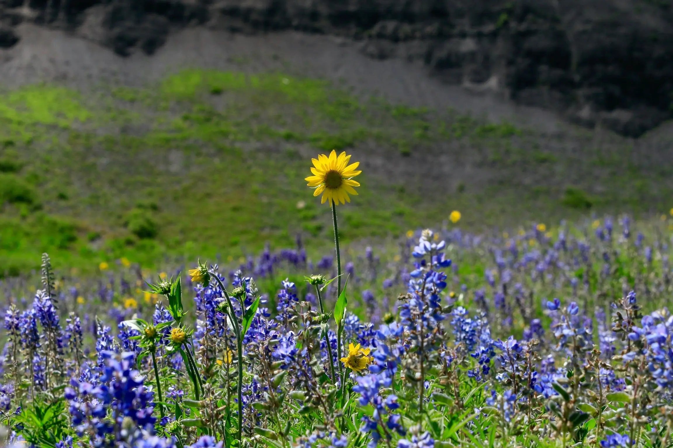 Mother-s-Day-Gifts The Outside Society
