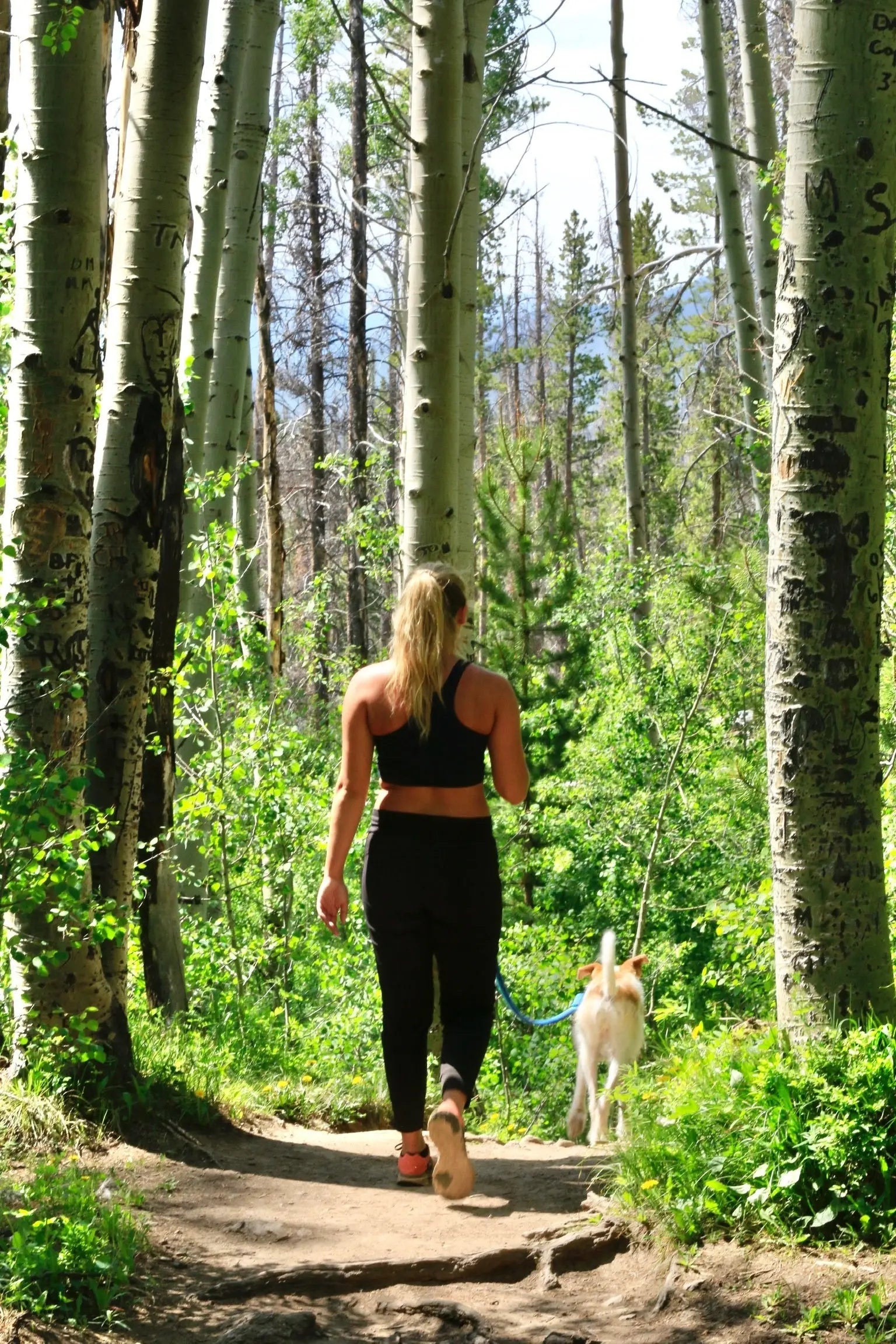 Womens-Bottoms-Leggings-Tights The Outside Society