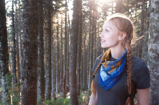 Final Switchback Alpine Lupine Bandana