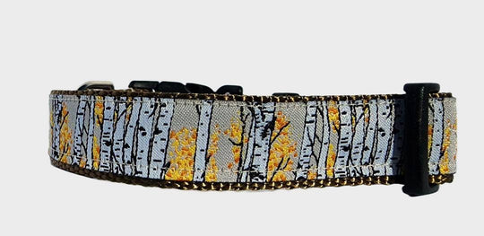 3/4" Aspen Tree Dog Collar, Leash, or Martingale