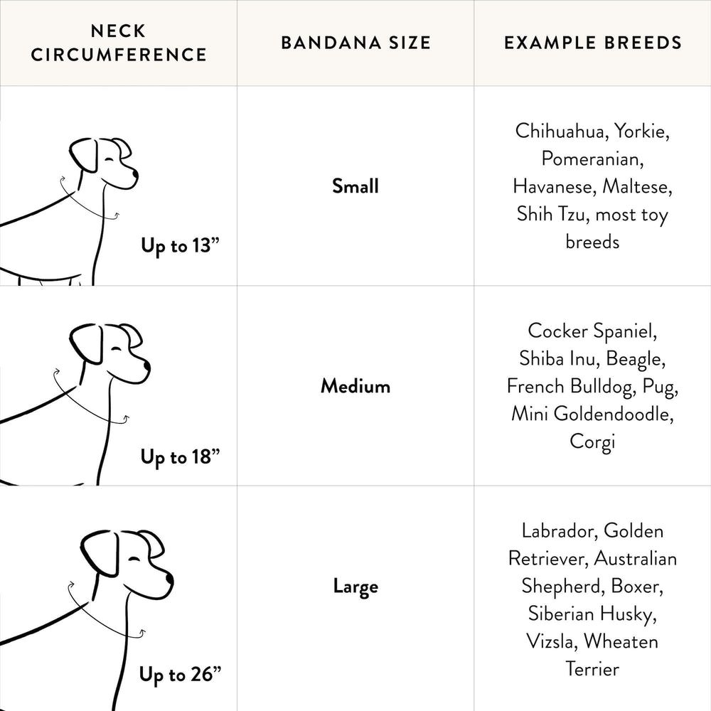 S'more to Love Dog Bandana