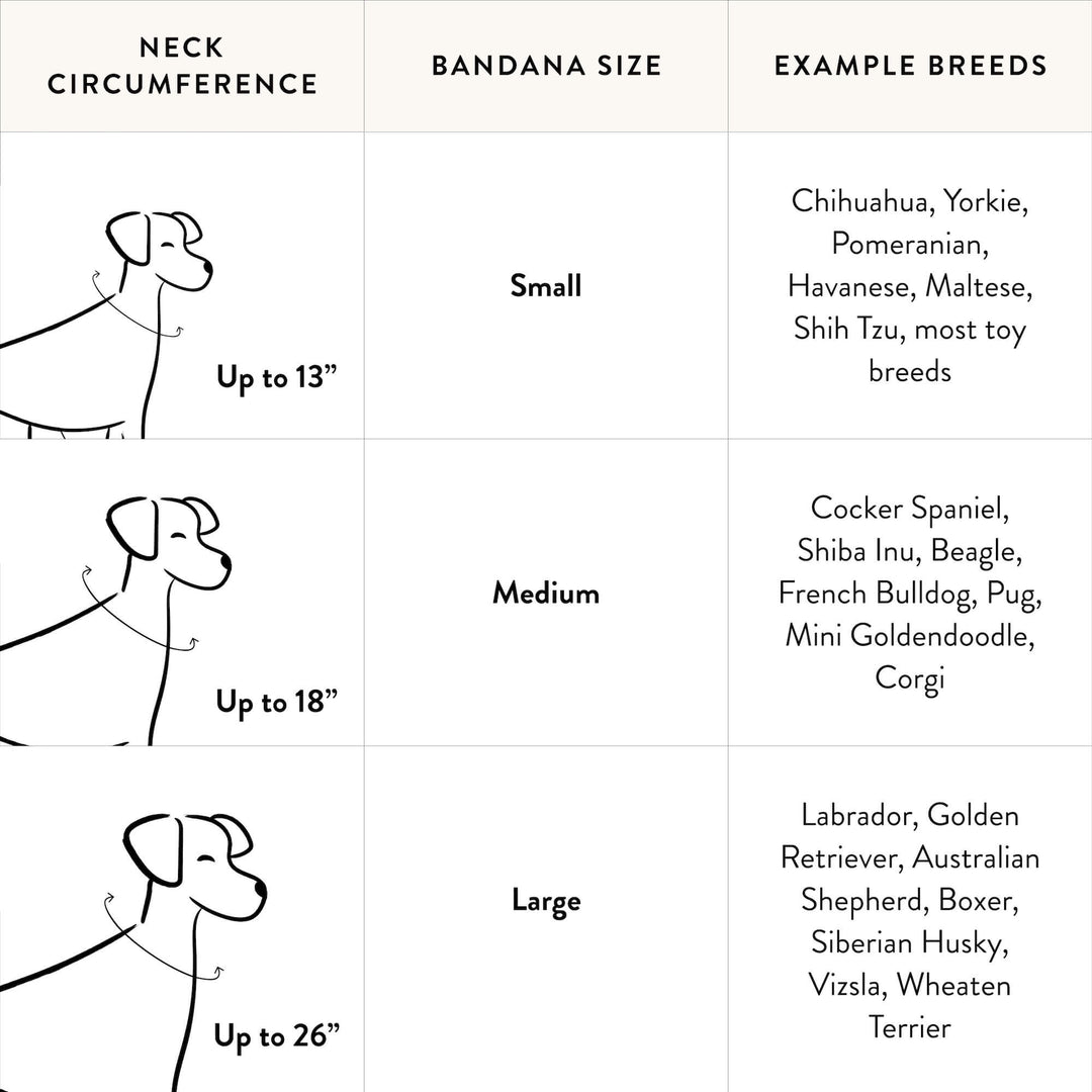 S'more to Love Dog Bandana