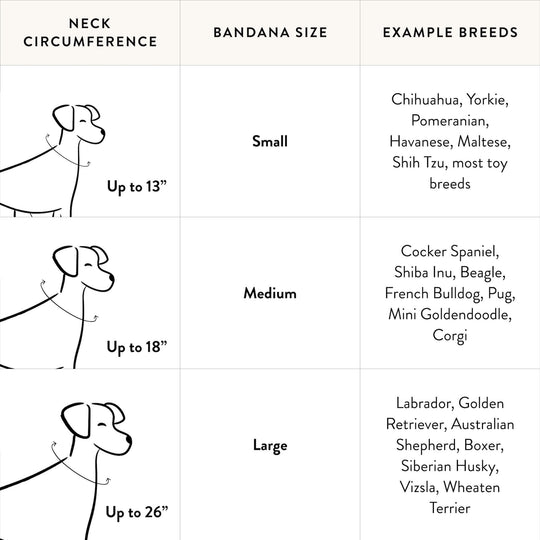 S'more to Love Dog Bandana