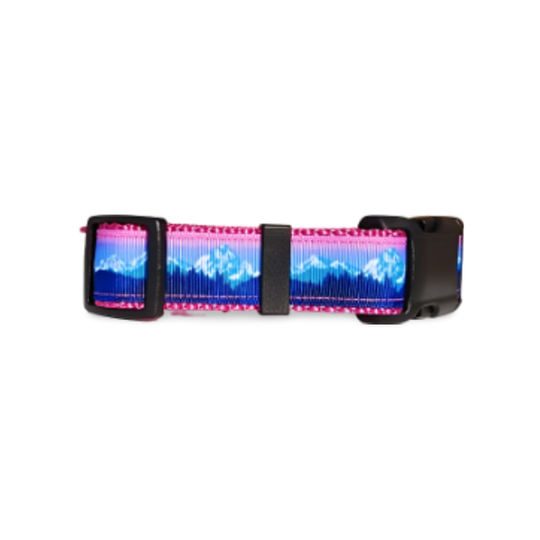 1" Pink Mountain Dog Collar, Leash, or Martingale