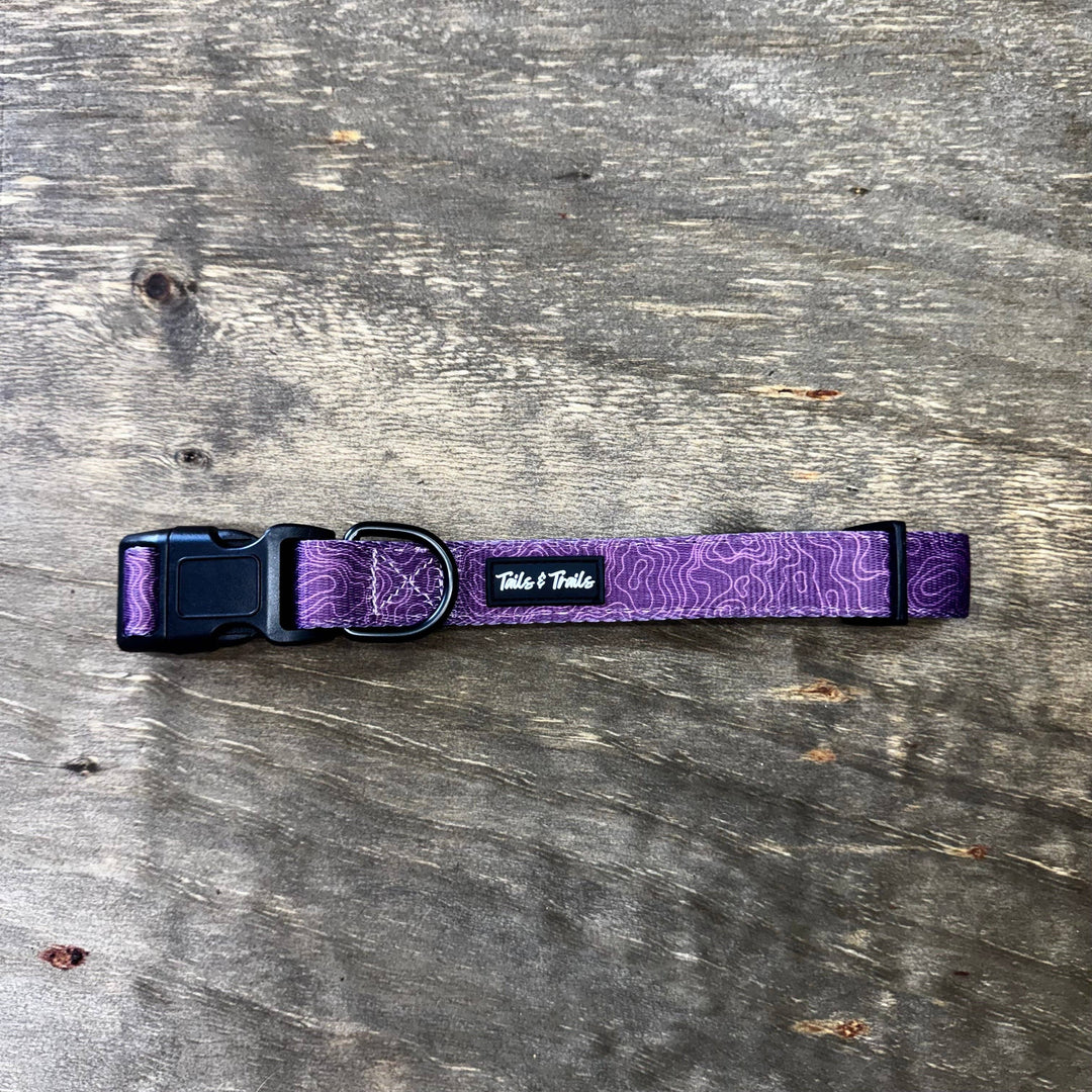 Elderberry Trail Collar
