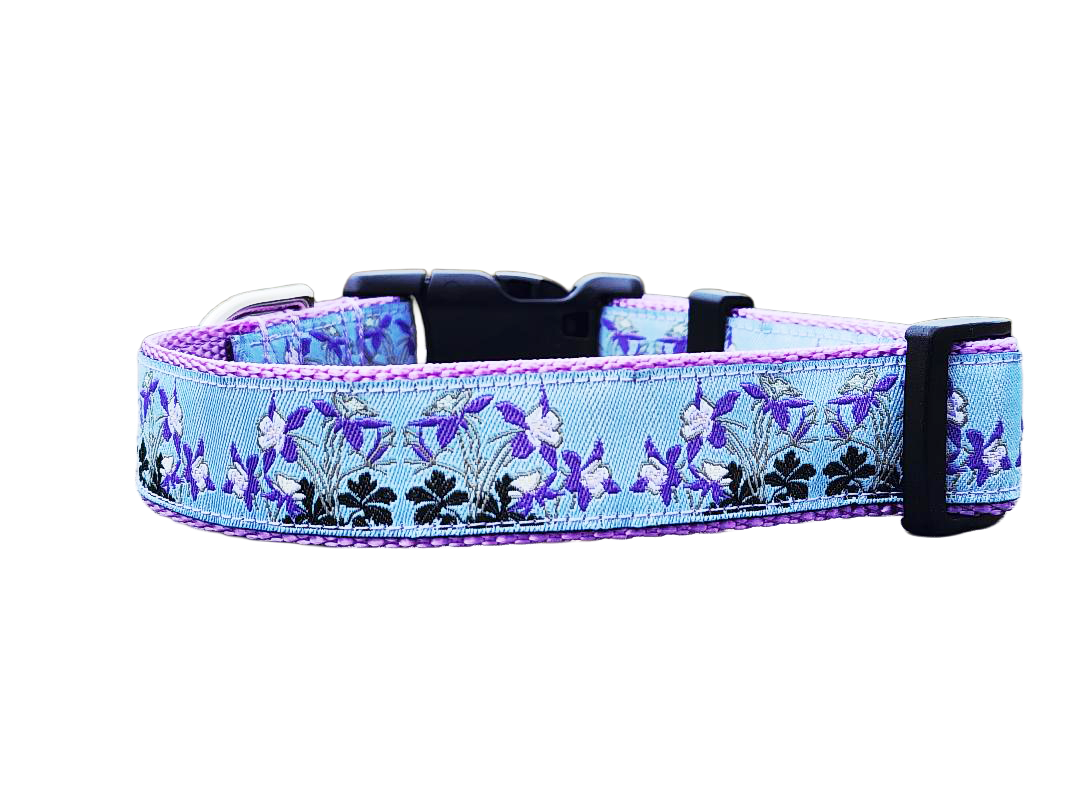 Rocky Mountain Hound 1" Columbine Colorado Dog Collar or Leash
