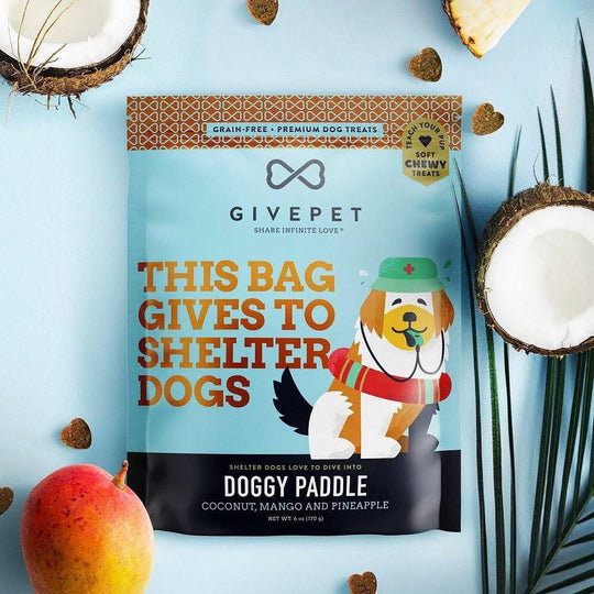 GivePet Doggy Paddle Soft and Chewy Training Dog Treat