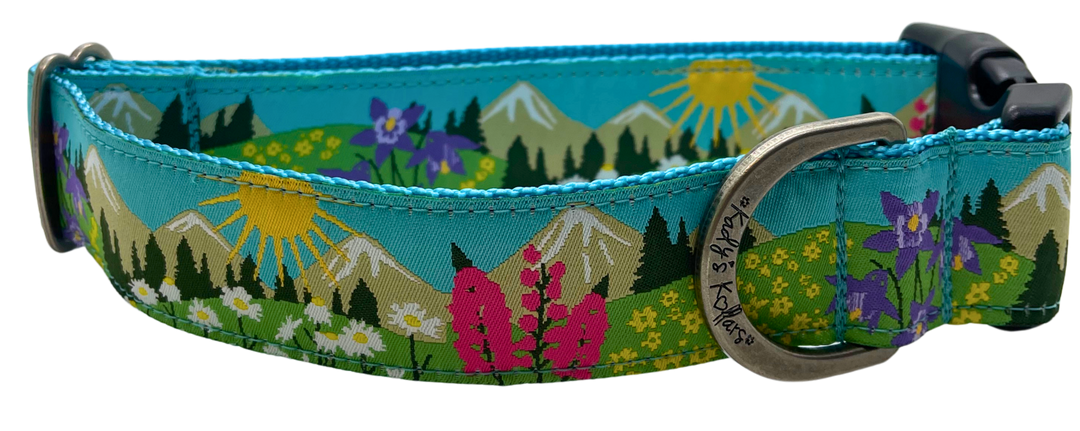 Kady's Kollars Wildflowers Dog Collar - L/XL