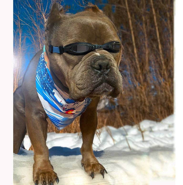 Sport Bandana - Colorado Ski and Hike