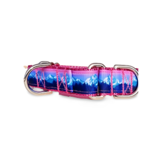 1" Pink Mountain Dog Collar, Leash, or Martingale