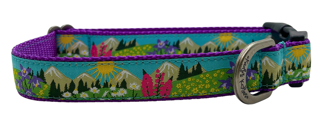 Kady's Kollars Wildflowers Dog Collar - M/L