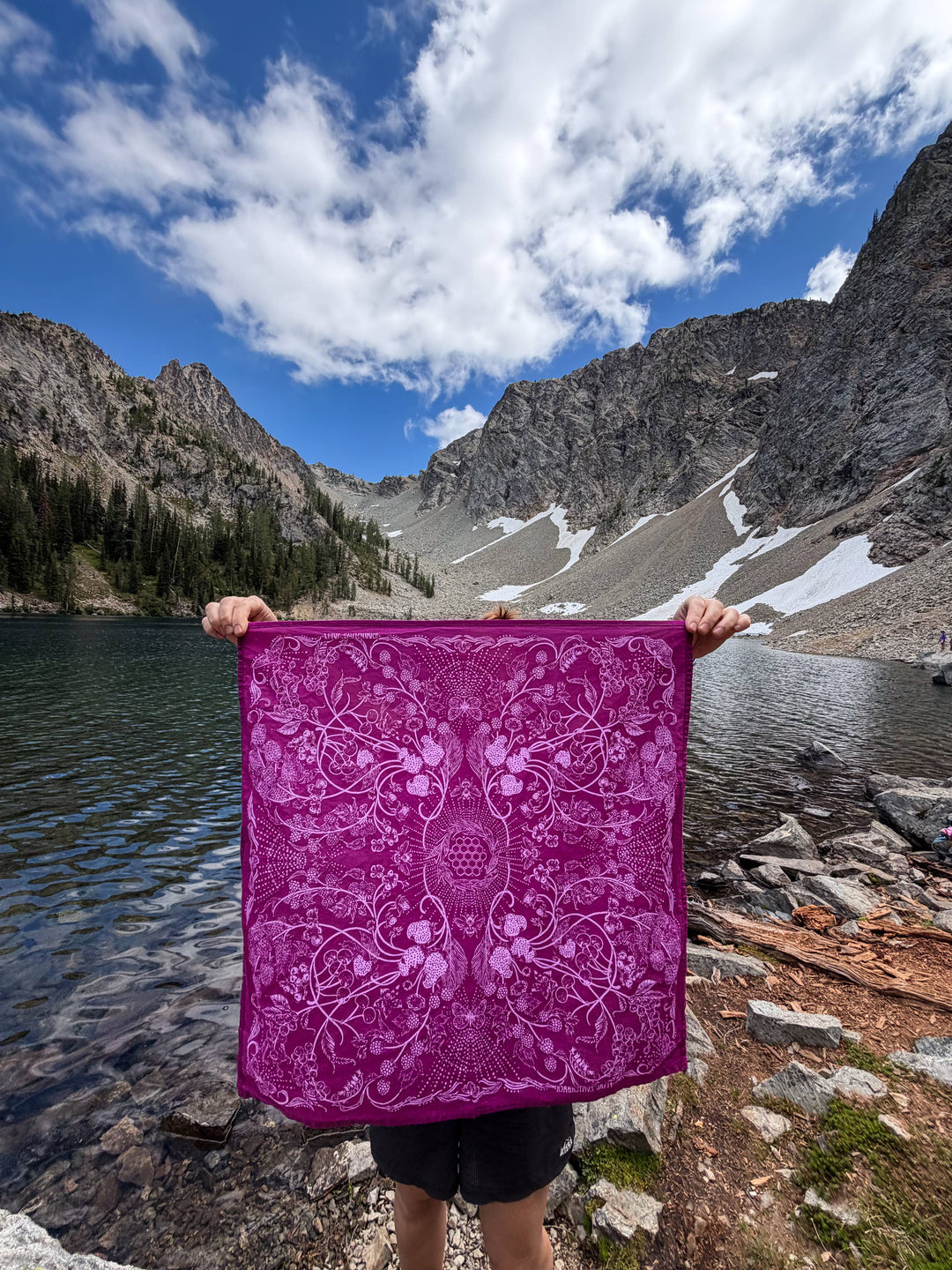 Final Switchback Wildberries Bandana