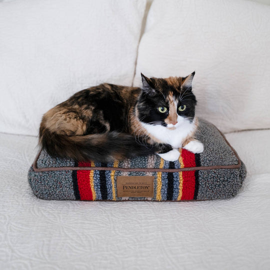 Pendleton Pet Vintage Camp Rectangular Pet Napper Dog Bed