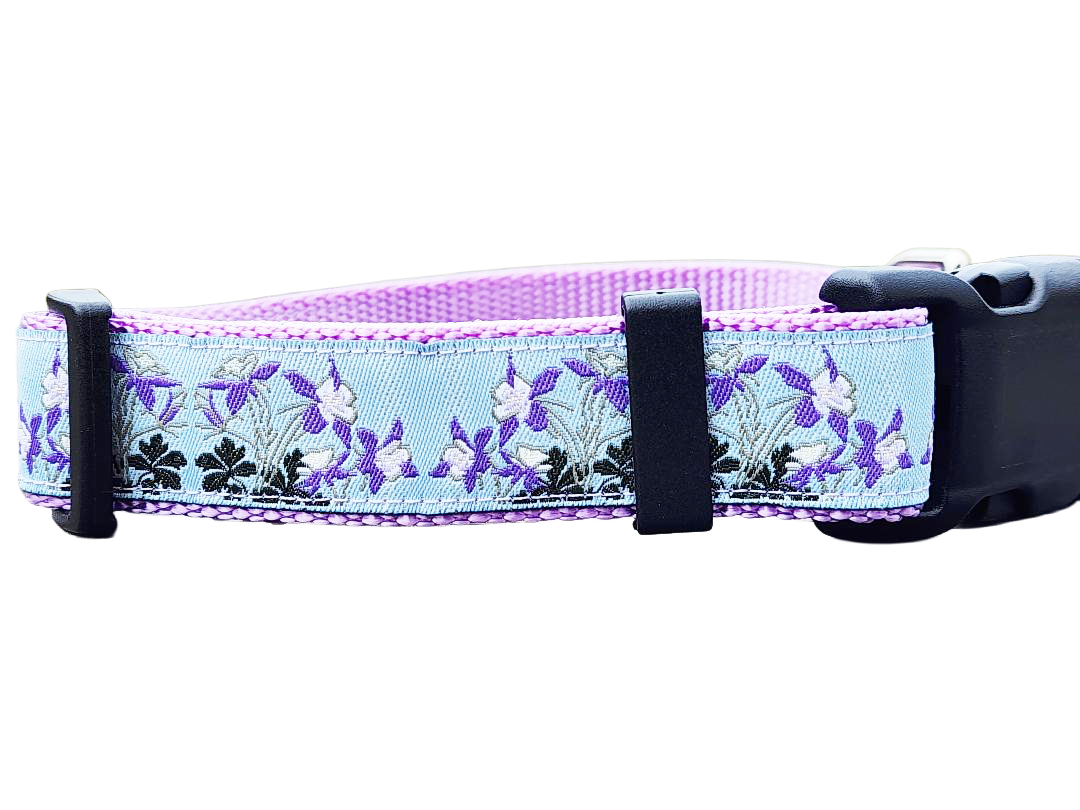 Rocky Mountain Hound 1" Columbine Colorado Dog Collar or Leash