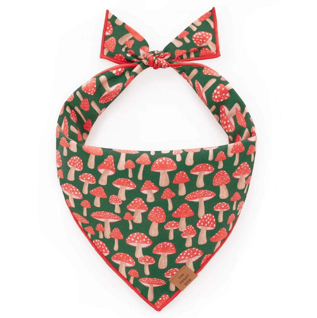 Mushroom Meadow Dog Bandana The Foggy Dog