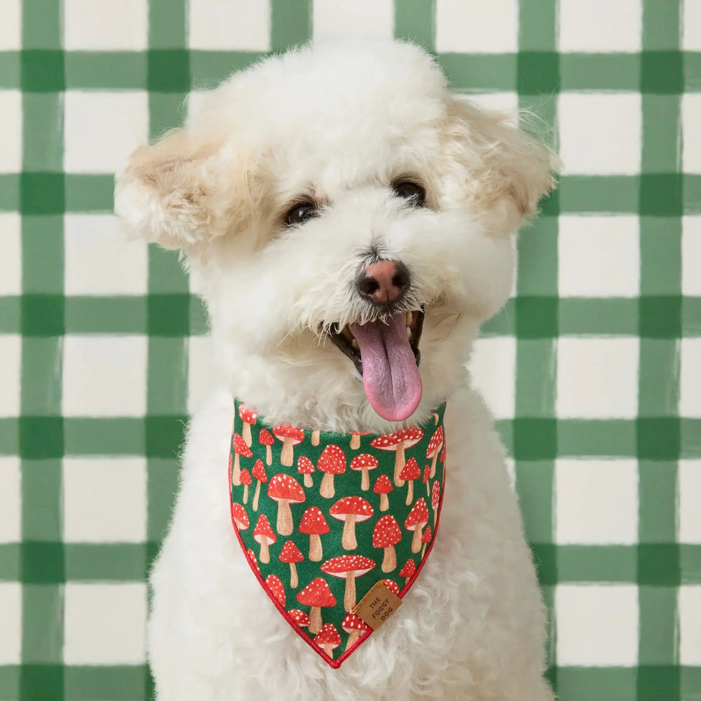 Mushroom Meadow Dog Bandana The Foggy Dog