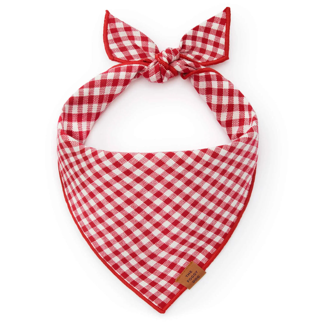 Red Gingham Summer Dog Bandana The Foggy Dog