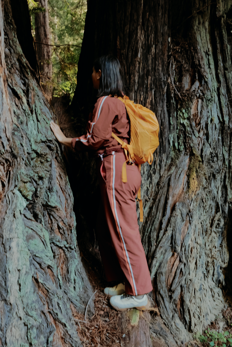 Dirtpop Trek Jacket