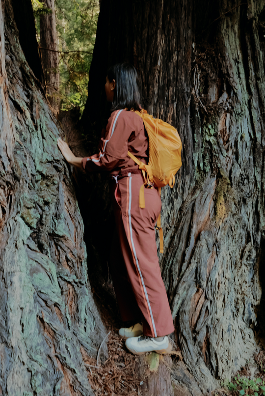 Dirtpop Trek Jacket