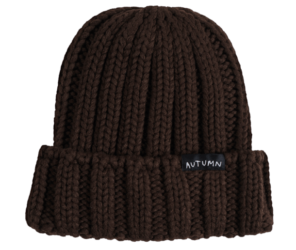 Autumn Thrift Beanie