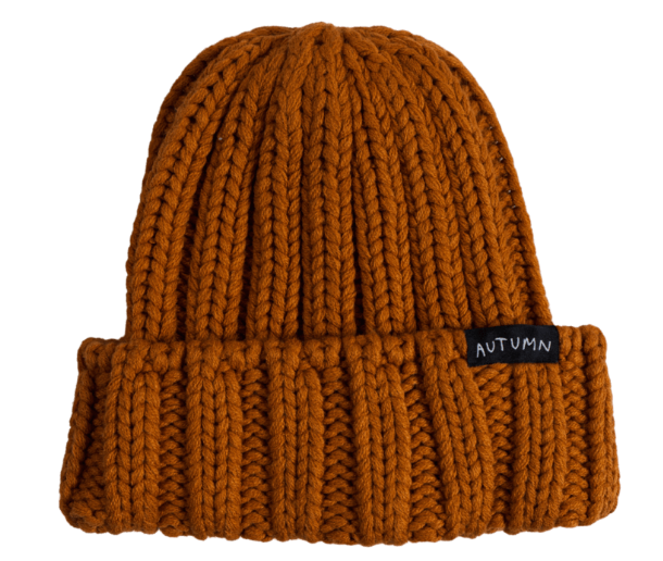 Autumn Thrift Beanie