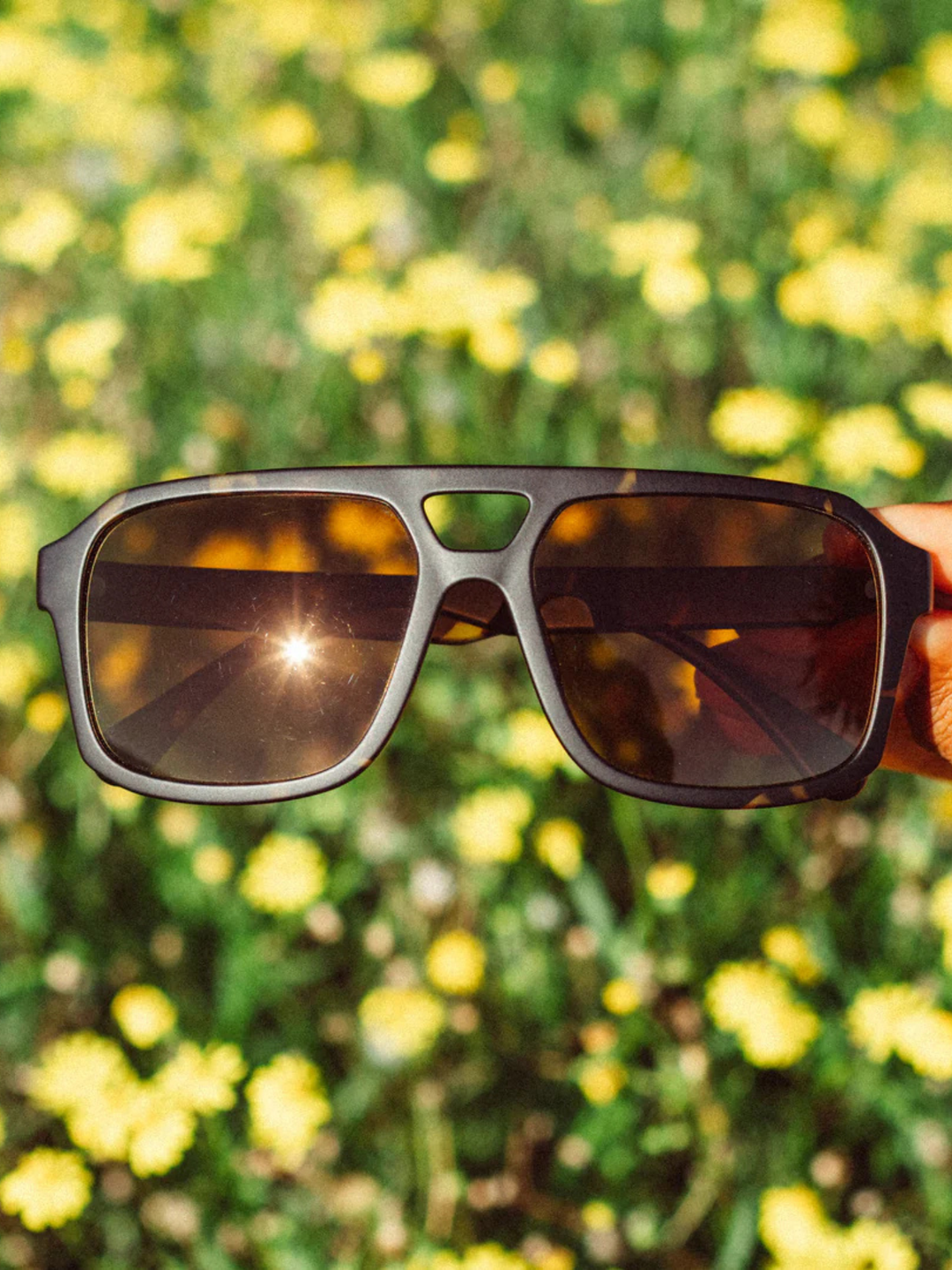 Sunski Paladino Sunglasses Tortoise Bronze
