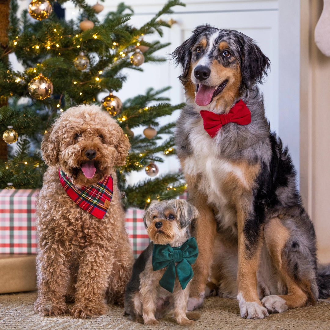 The Foggy Dog Tartan Plaid Flannel Holiday Dog Bandana The Foggy Dog
