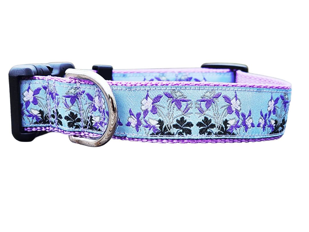 Rocky Mountain Hound 1" Columbine Colorado Dog Collar or Leash