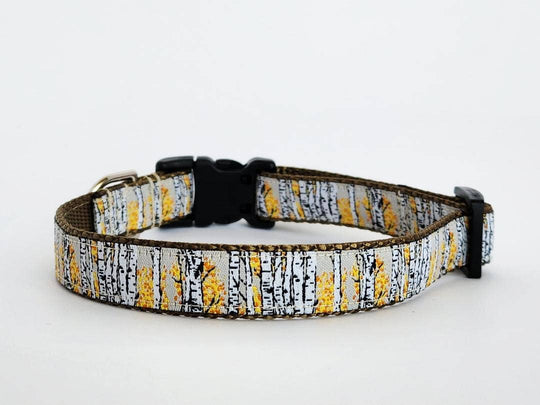 3/4" Aspen Tree Dog Collar, Leash, or Martingale