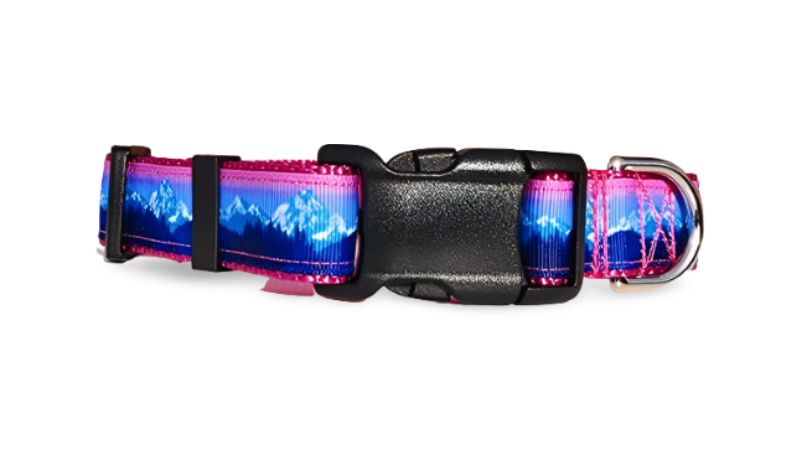 1" Pink Mountain Dog Collar, Leash, or Martingale