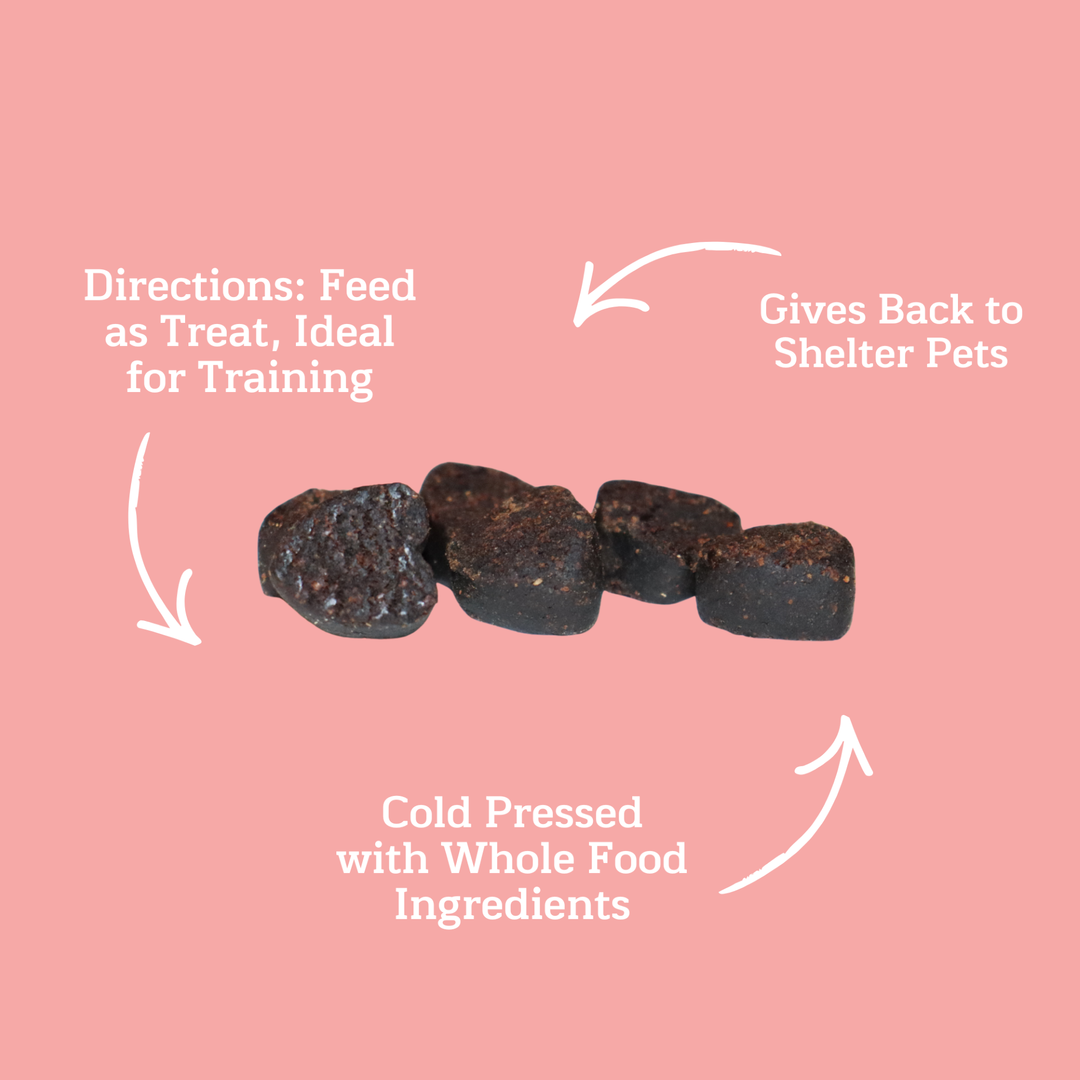 GivePet Doggy Paddle Soft and Chewy Training Dog Treat