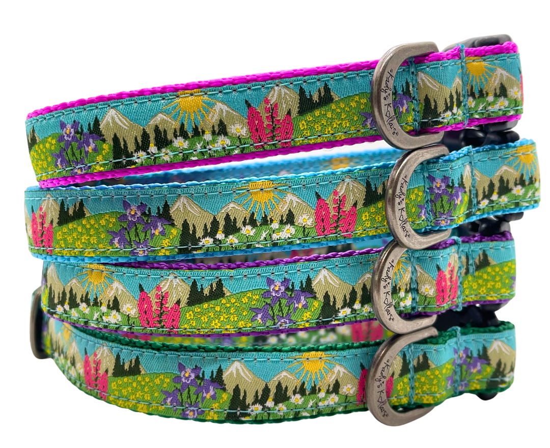 Kady's Kollars Wildflowers Dog Collar - S/M