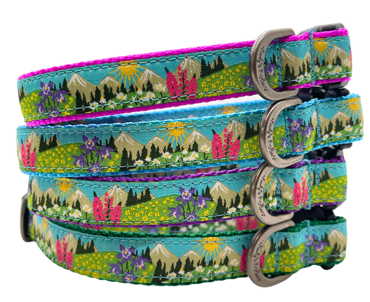 Kady's Kollars Wildflowers Dog Collar - S/M