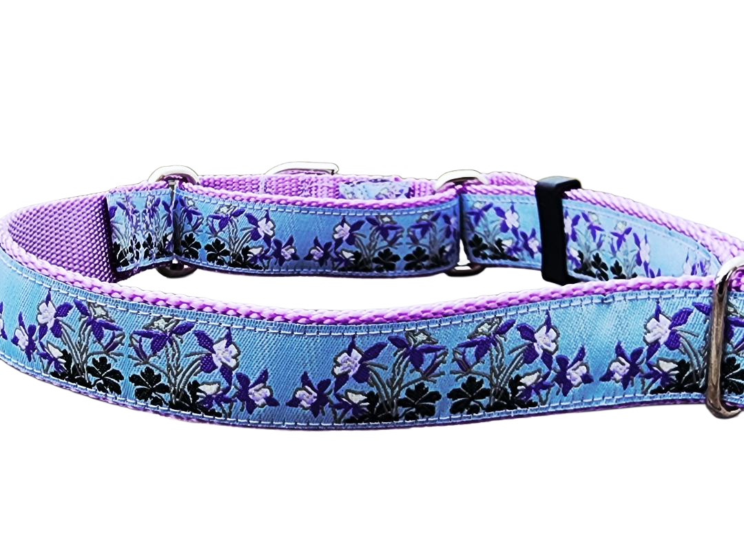 Rocky Mountain Hound 1" Columbine Colorado Dog Collar or Leash