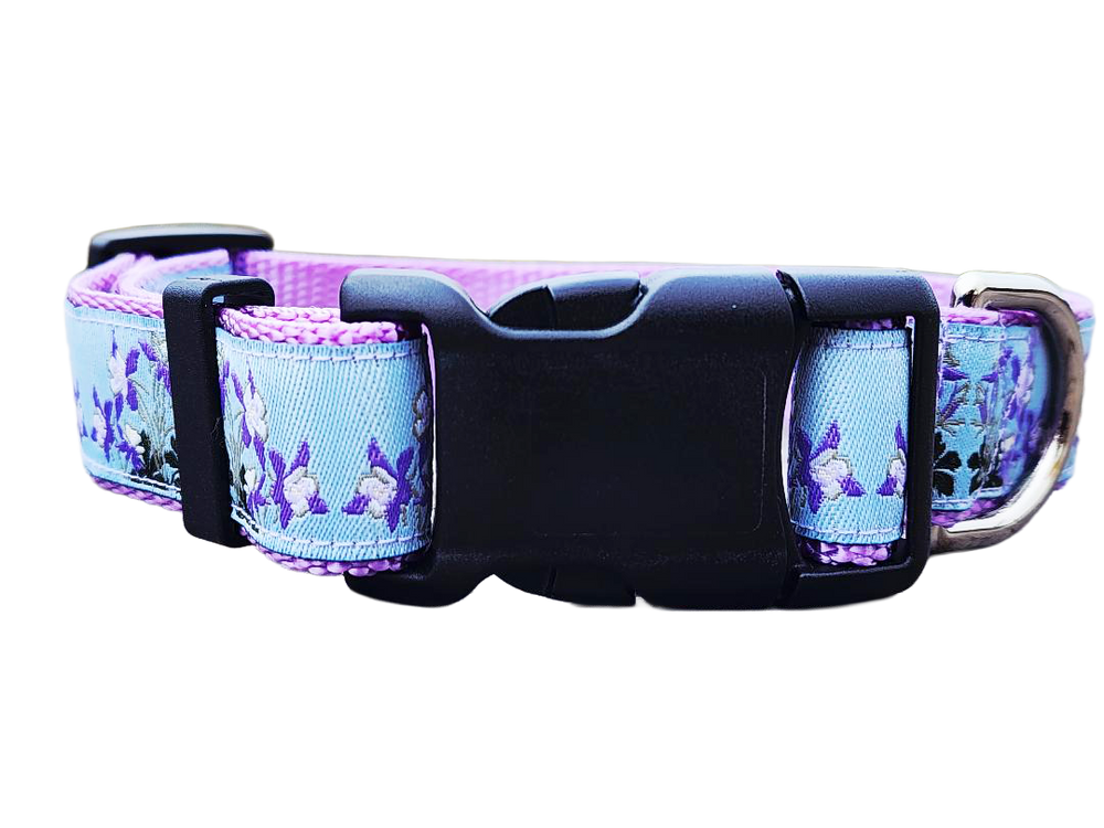 Rocky Mountain Hound 1" Columbine Colorado Dog Collar or Leash