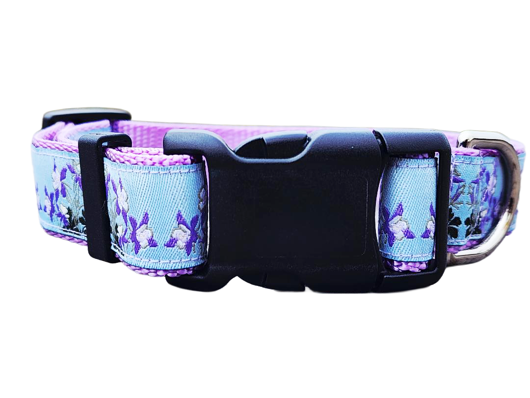 Rocky Mountain Hound 1" Columbine Colorado Dog Collar or Leash
