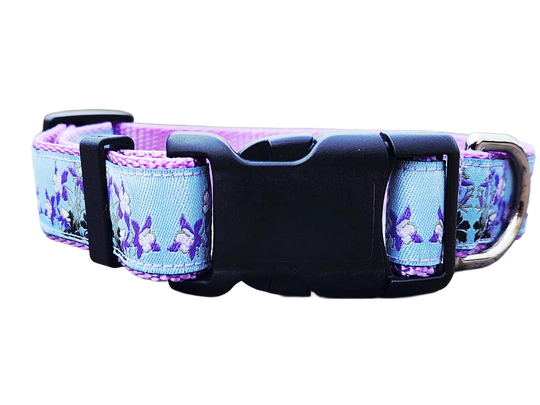 Rocky Mountain Hound 1" Columbine Colorado Dog Collar or Leash