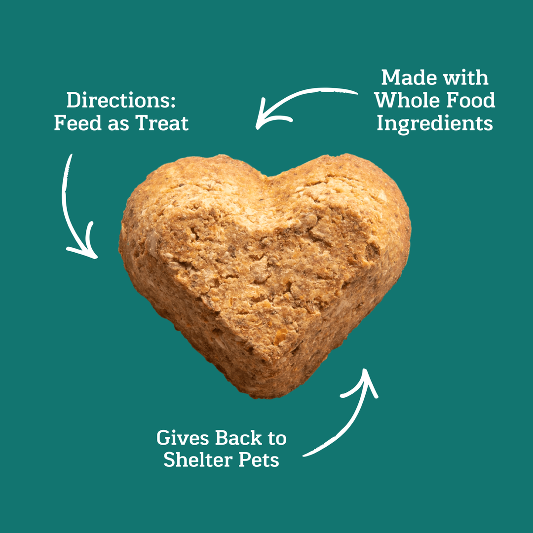 GivePet Campfire Feast Dog Treats