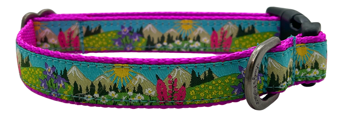 Kady's Kollars Wildflowers Dog Collar - S/M