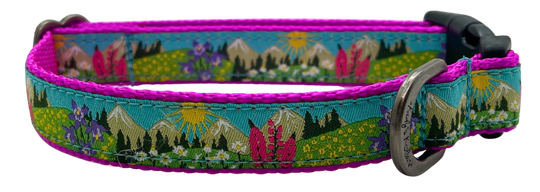 Kady's Kollars Wildflowers Dog Collar - S/M